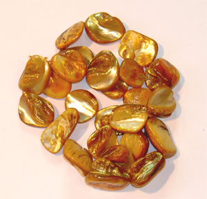 Snäckskal nugget gul ca 16×18 mm