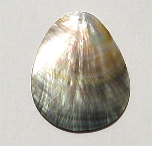 Snäckskalshänge 49×39 mm