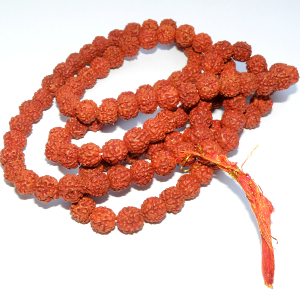 Rudraksha 8 mm